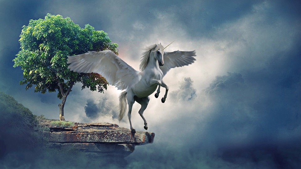 PEGASO